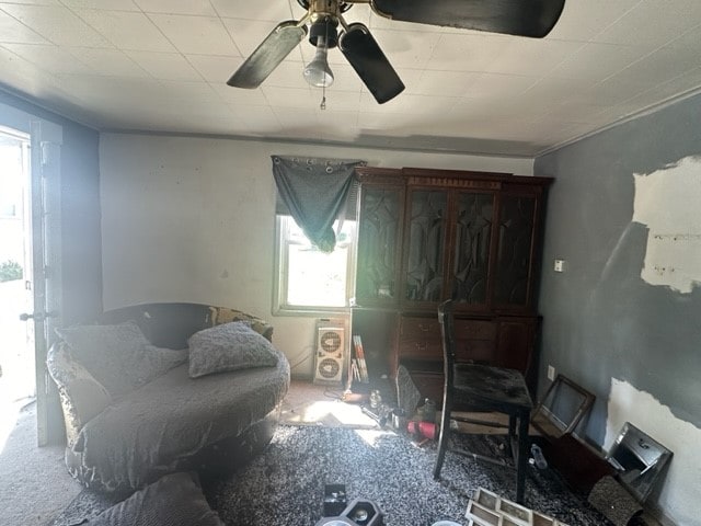 miscellaneous room featuring ceiling fan, carpet floors, and a healthy amount of sunlight