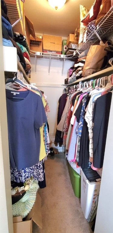 spacious closet with carpet floors