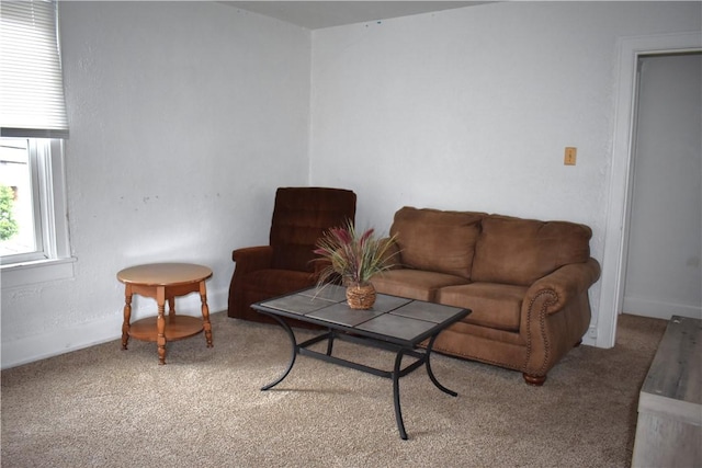 820-822 Grant St, Indiana Boro, PA 15701 - living room featuring carpet flooring