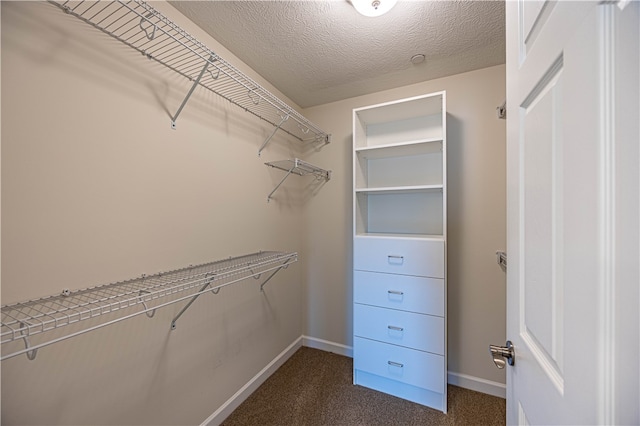 spacious closet with dark colored carpet