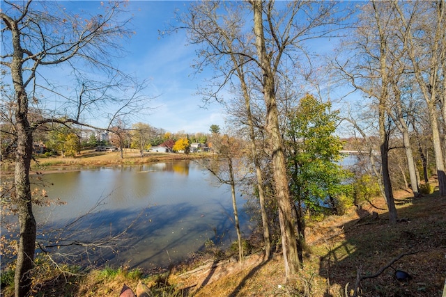 property view of water