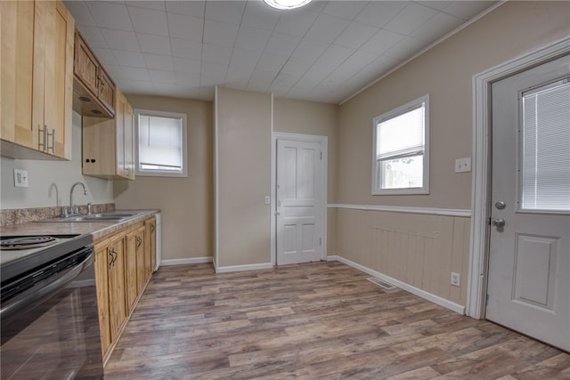 kitchen featuring light brown cabinets, light wood-type flooring, sink, and electric range