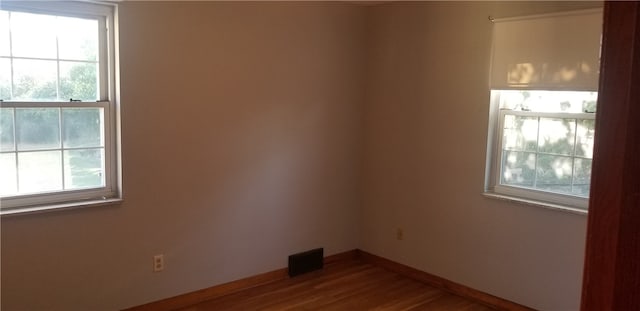 empty room featuring wood-type flooring and a wealth of natural light