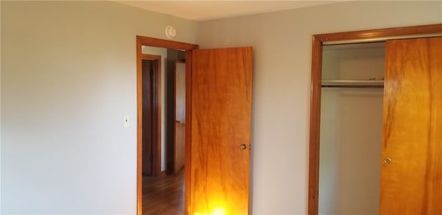 unfurnished bedroom featuring wood-type flooring and a closet