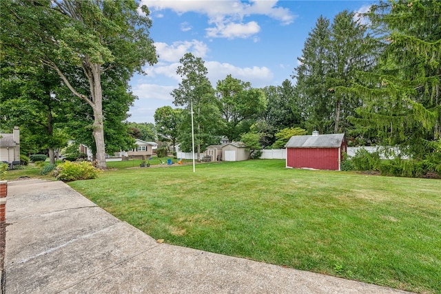 view of yard with a storage shed