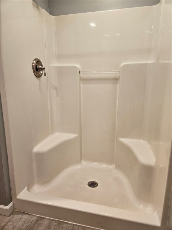 101 Main, St, PA 16050 - bathroom with hardwood / wood-style flooring and a shower