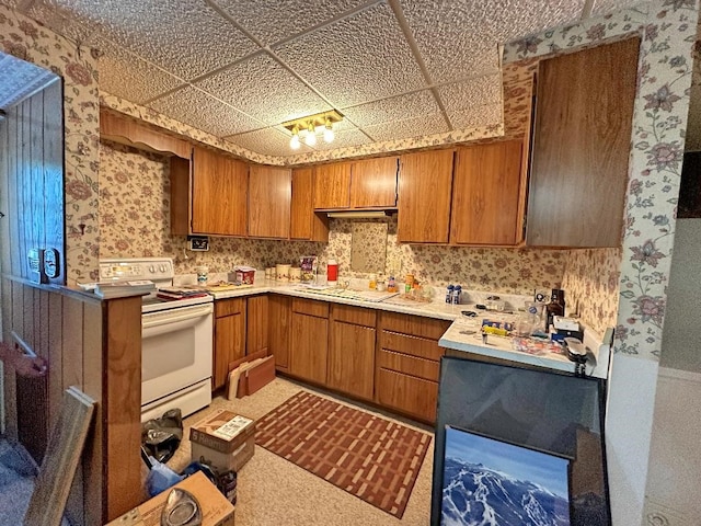 kitchen with white range with electric cooktop, a drop ceiling, and carpet flooring