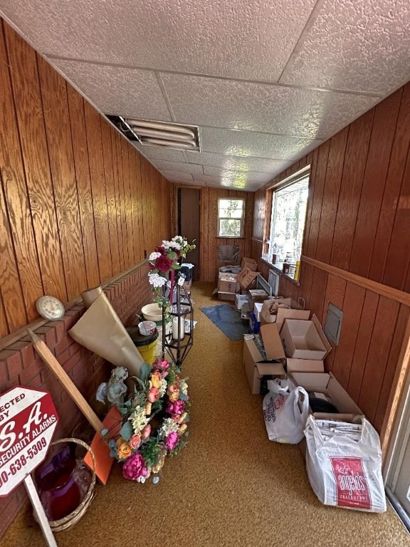 living room featuring carpet floors and wood walls