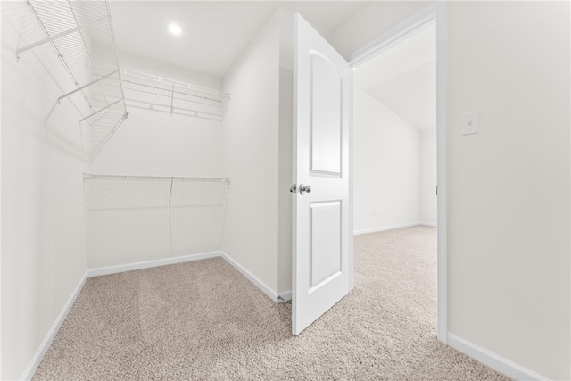 walk in closet with carpet flooring