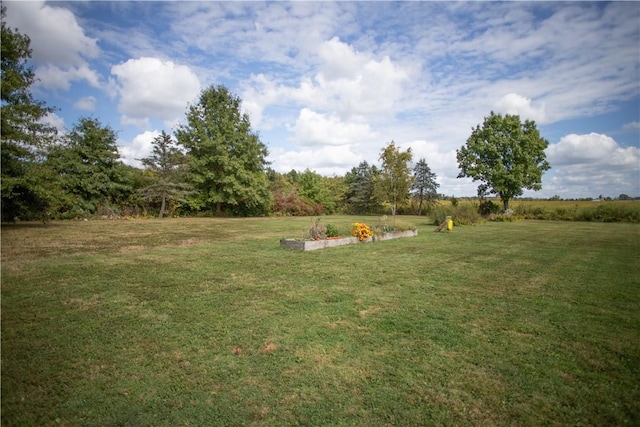 983 Vernon Rd, West Salem Twp, PA 16125 - view of yard featuring a rural view