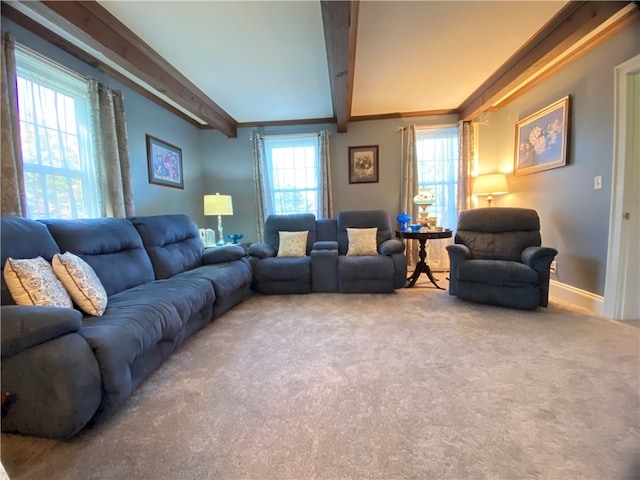 carpeted living room with beam ceiling and ornamental molding