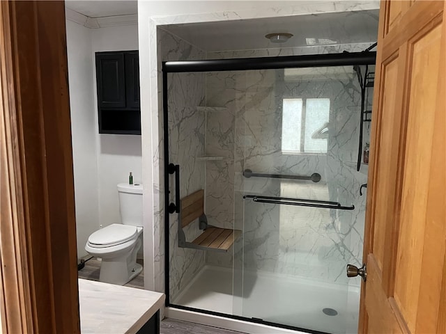 bathroom with walk in shower, vanity, and toilet