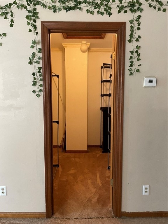 hall with carpet flooring and ornamental molding