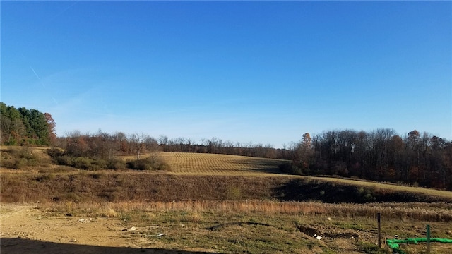 view of landscape with a rural view