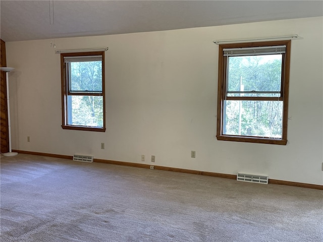 carpeted empty room with a wealth of natural light