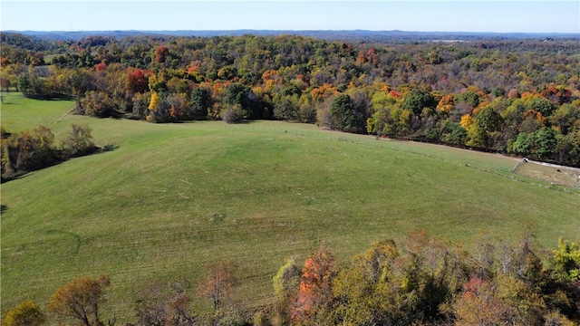 bird's eye view