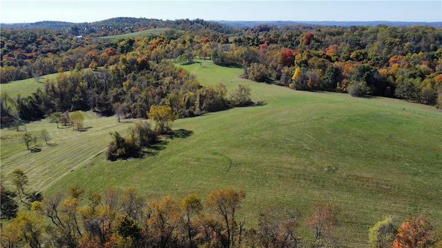 bird's eye view featuring a rural view