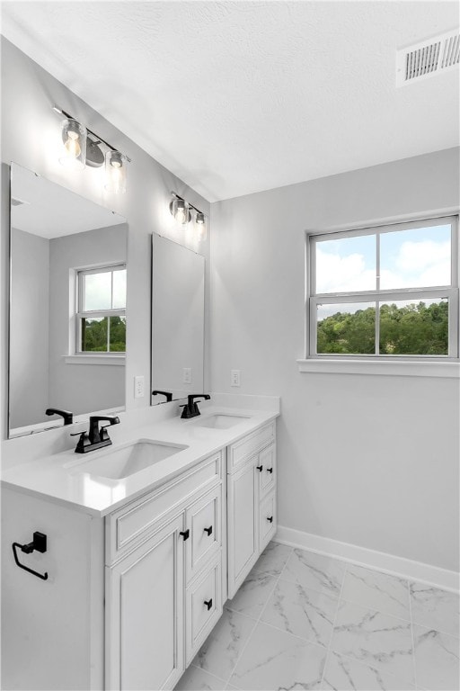 bathroom featuring a wealth of natural light and vanity