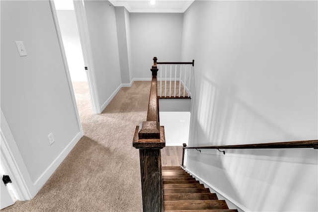 stairway with carpet flooring