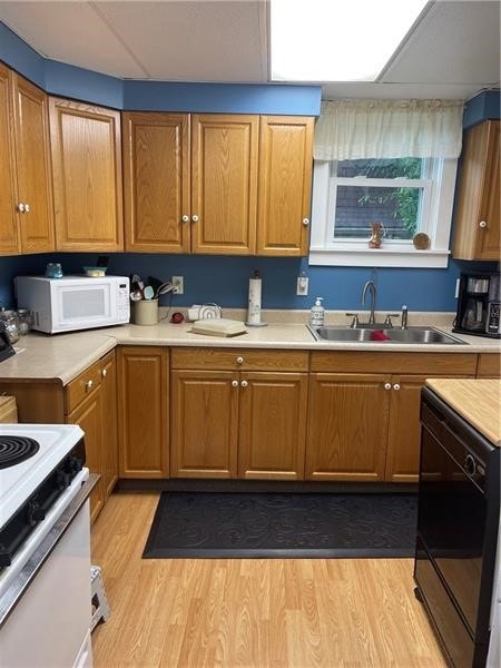 kitchen featuring sink, light wood-type flooring, and white appliances