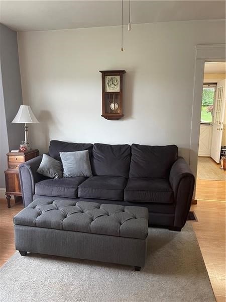 living room with wood-type flooring