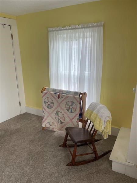 sitting room featuring carpet floors