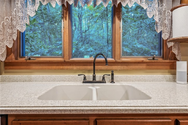 interior details featuring sink