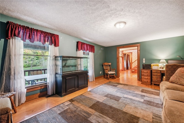 living room with a textured ceiling and hardwood / wood-style floors