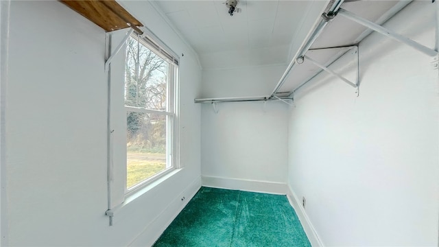 spacious closet featuring dark carpet