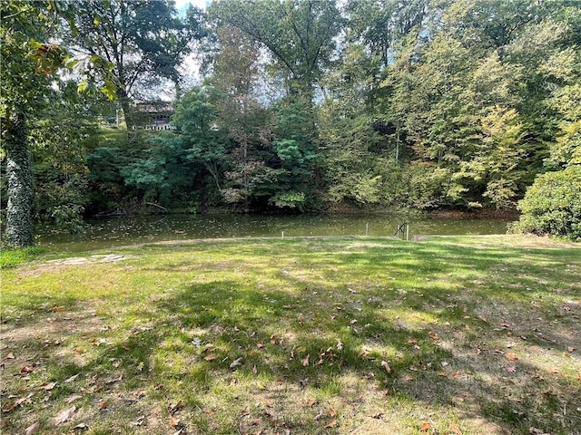 view of yard with a water view