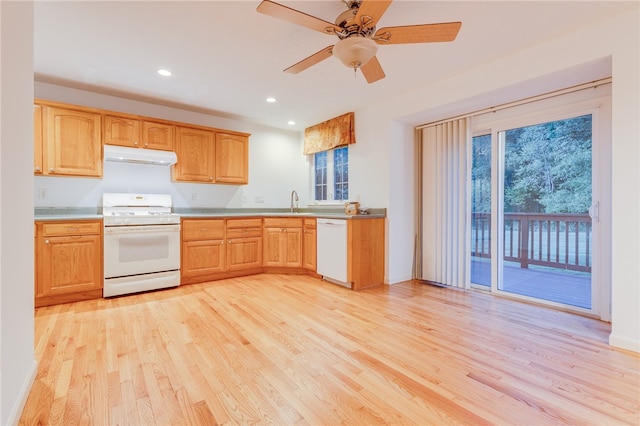 kitchen with ceiling fan, light hardwood / wood-style flooring, sink, and white appliances