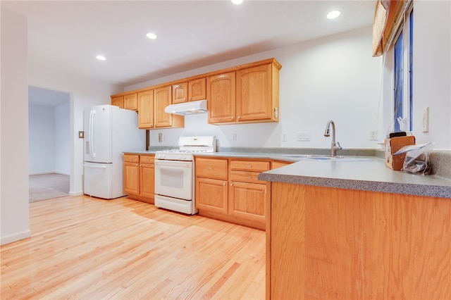 kitchen with light hardwood / wood-style flooring, white appliances, and sink