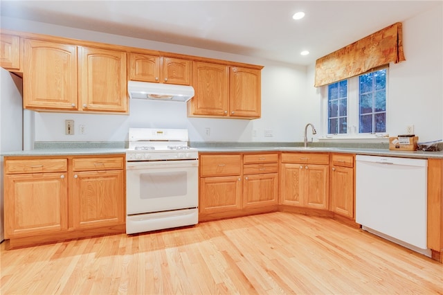 kitchen with light hardwood / wood-style flooring, sink, and white appliances