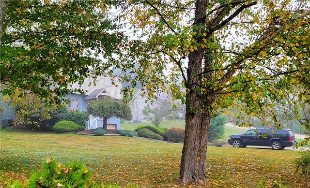 view of yard with central AC unit