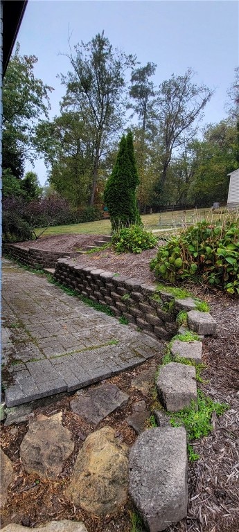 view of yard with a patio area