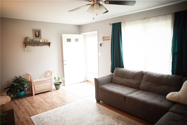 living room featuring hardwood / wood-style floors and ceiling fan