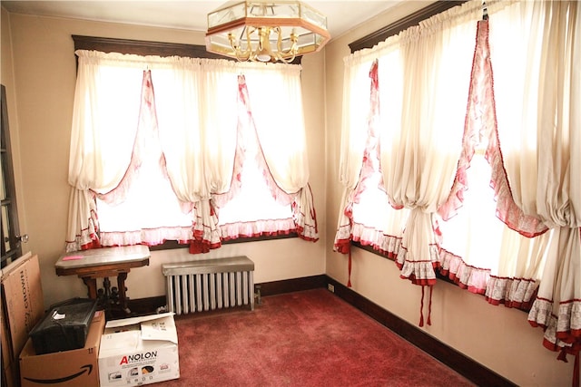 miscellaneous room with dark carpet and radiator