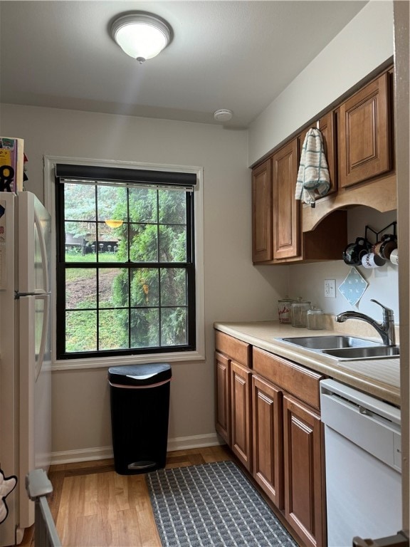 kitchen featuring light hardwood / wood-style flooring, white appliances, and sink