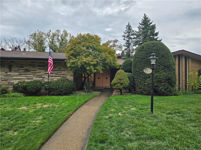 view of front facade with a front lawn