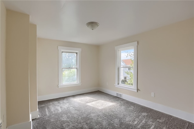 carpeted empty room featuring a wealth of natural light