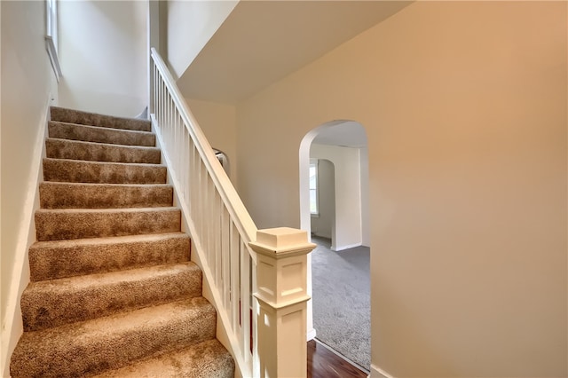 stairway with carpet floors