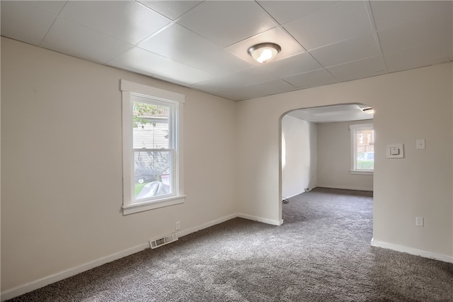 carpeted spare room featuring a wealth of natural light