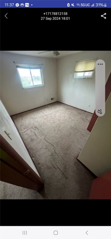 interior space with carpet flooring