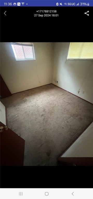 additional living space featuring carpet