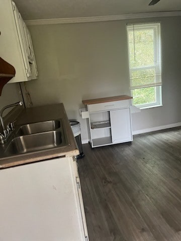 kitchen with dark hardwood / wood-style floors, ornamental molding, sink, and white cabinets