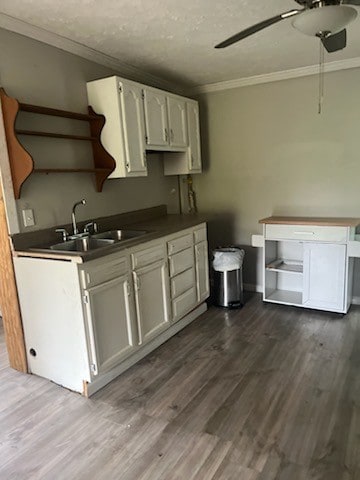 kitchen featuring sink, white cabinetry, hardwood / wood-style floors, crown molding, and ceiling fan