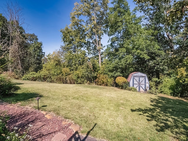 view of yard featuring a storage shed