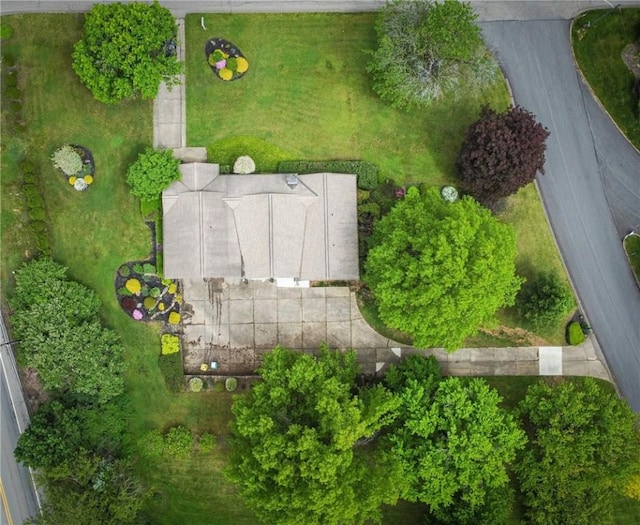bird's eye view