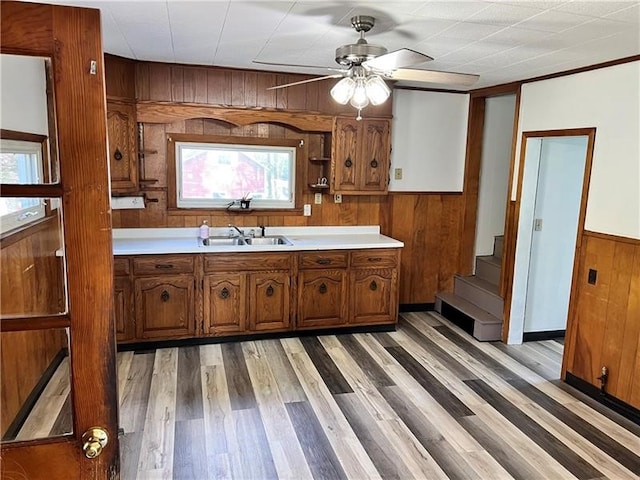 kitchen with ceiling fan, wood walls, light hardwood / wood-style floors, and a wealth of natural light