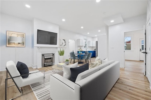 living room with light wood-type flooring